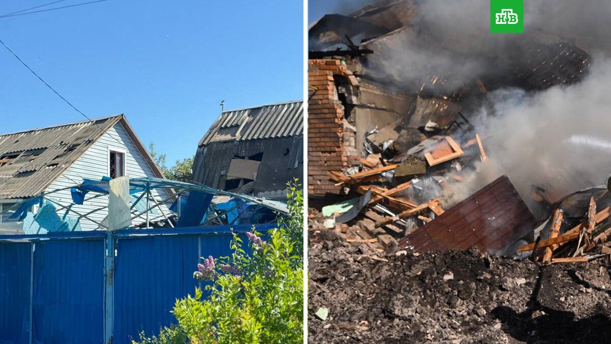    Фото: vvgladkov / t.me