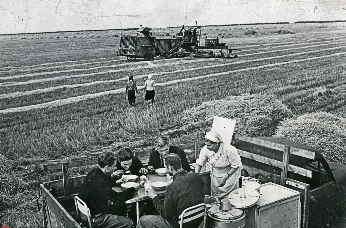 Фото из открытых источников