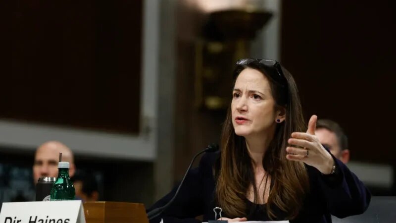 Директор Национальной разведки Аврил Хейнс выступает во время слушаний в Комитете Сената по вооружённым силам в Вашингтоне 4 мая 2023 года. (Anna Moneymaker/Getty Images)