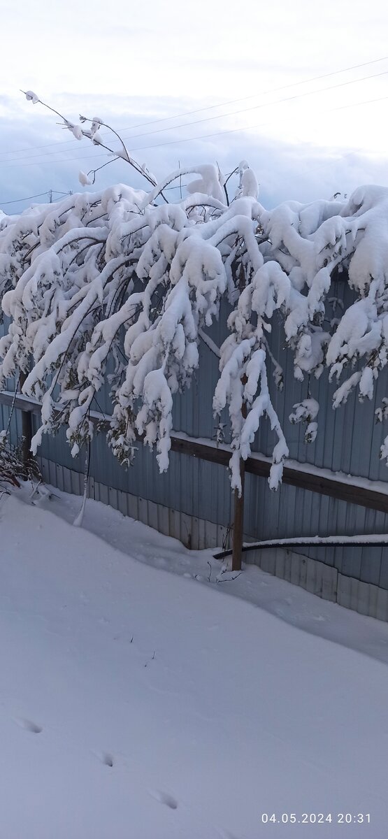 Вечернее фото