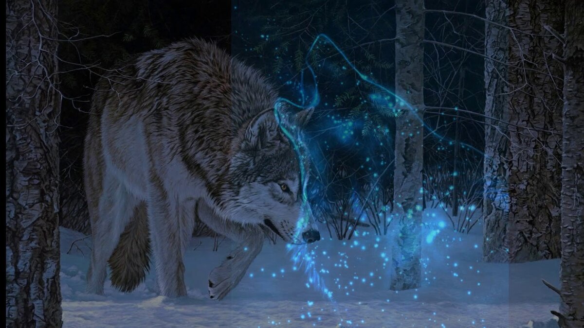 фото из интернета