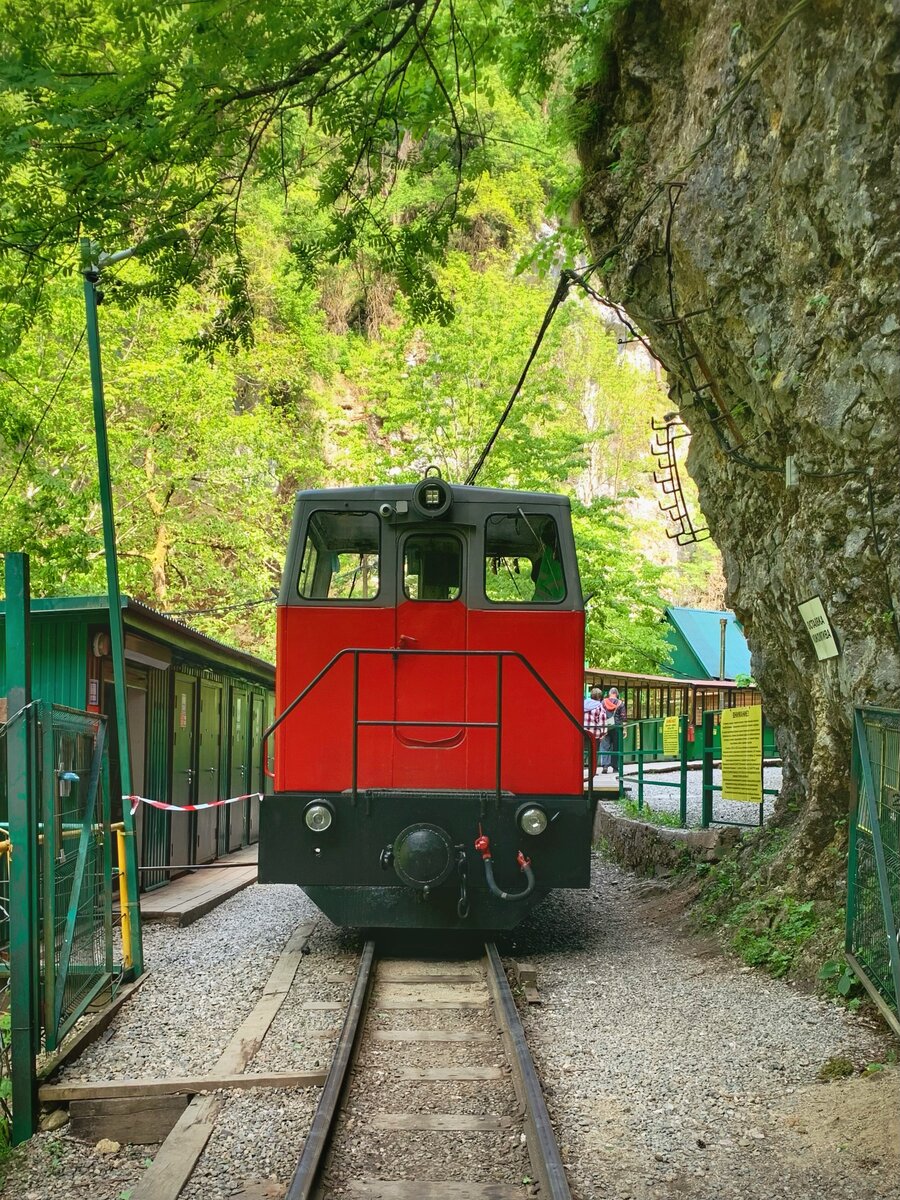 Старенький паровозик переводит несколько вагонов по узкоколейке  