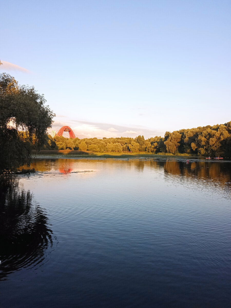 Вот такая красота в серебряном бору🤩