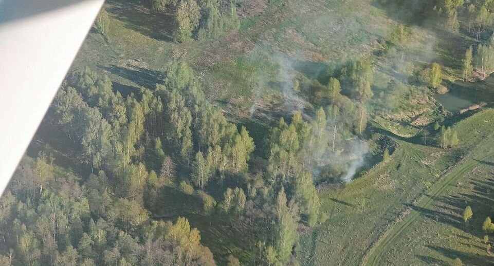    Комитет лесного хозяйства Московской области