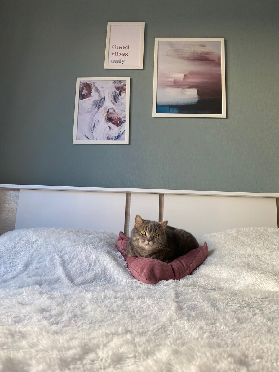 Кекс тоже любит, когда дома чистота-красота, всегда «помогает» делать уборку 😁