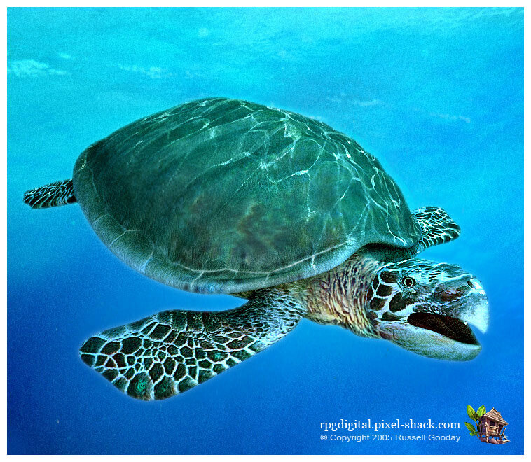 Не брутально