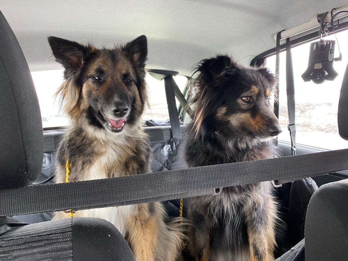 Элли справа. Нюта, нынче Герда, слева