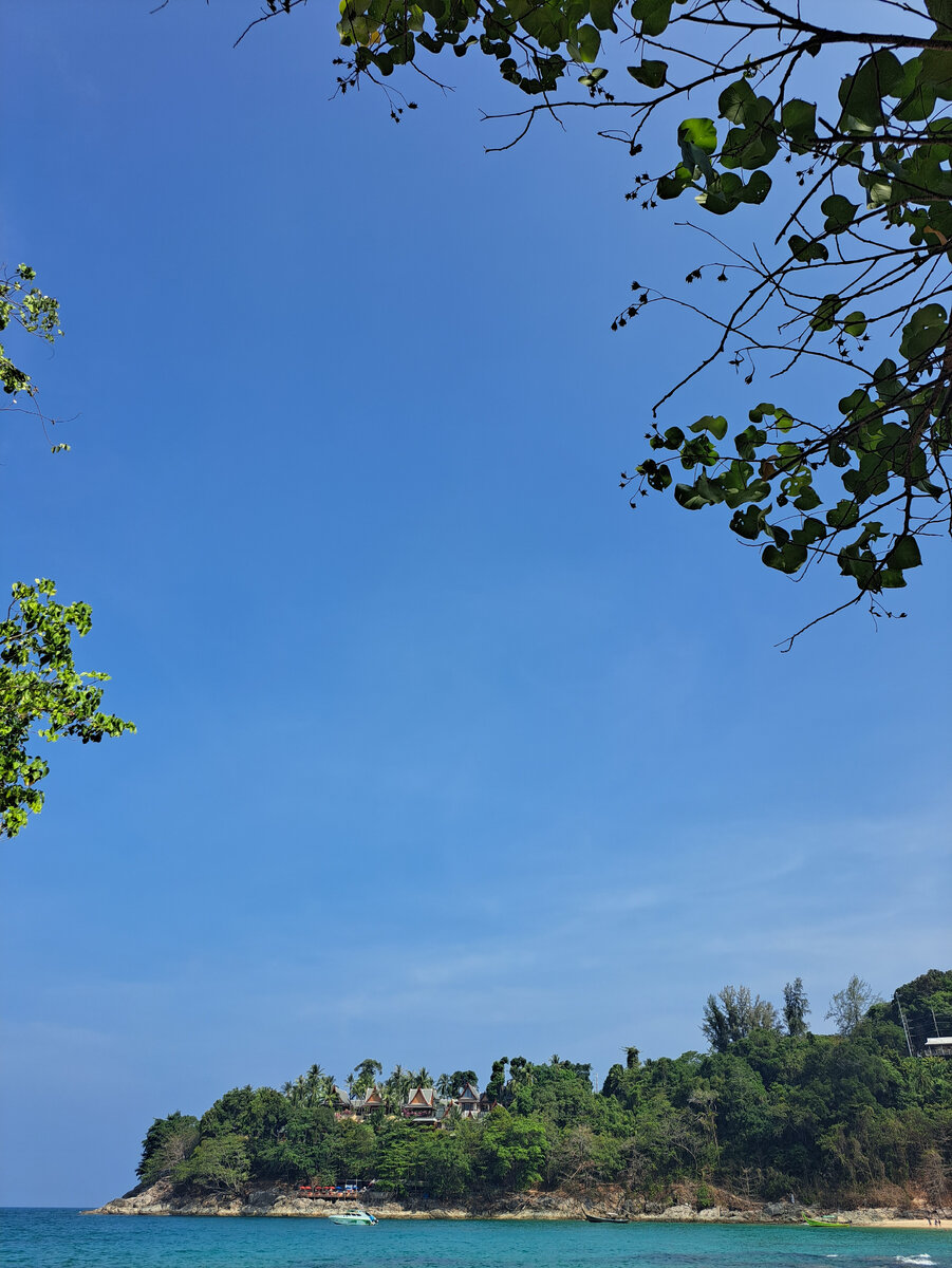 Фото звёздного неба не нашлось, но нашлось это 