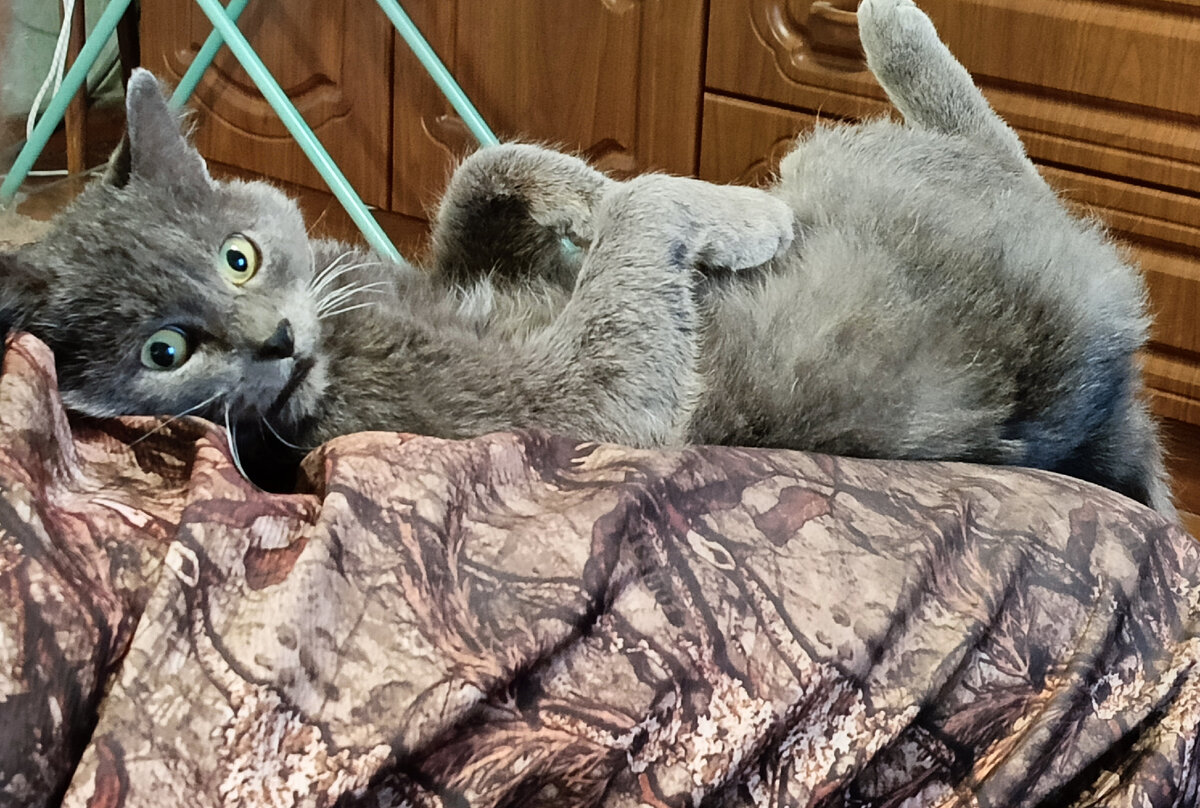 На коленях у мужа.