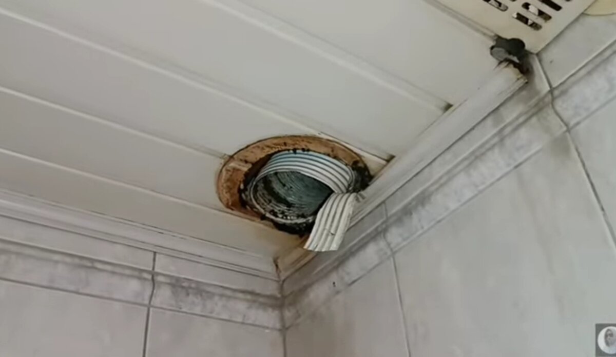 Что-то в потолке, напоминающее водопроводный шланг, но не он.