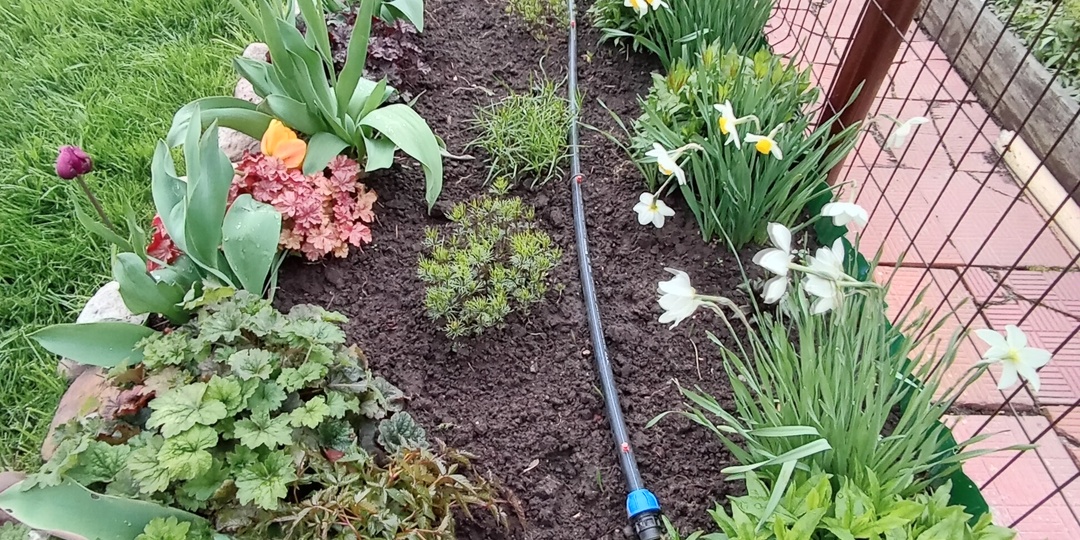 Почему пересадки растений никогда не заканчиваются. И не закончатся, не питайте иллюзий