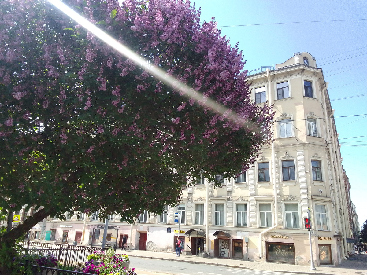 Просто фото летнего Петербурга. Этот луч меня поразил.