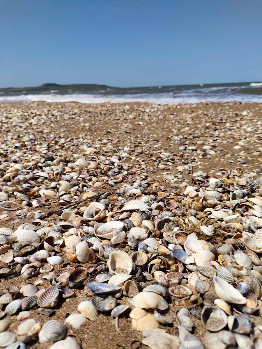 Пляж с ракушками в Курортном, Керчь