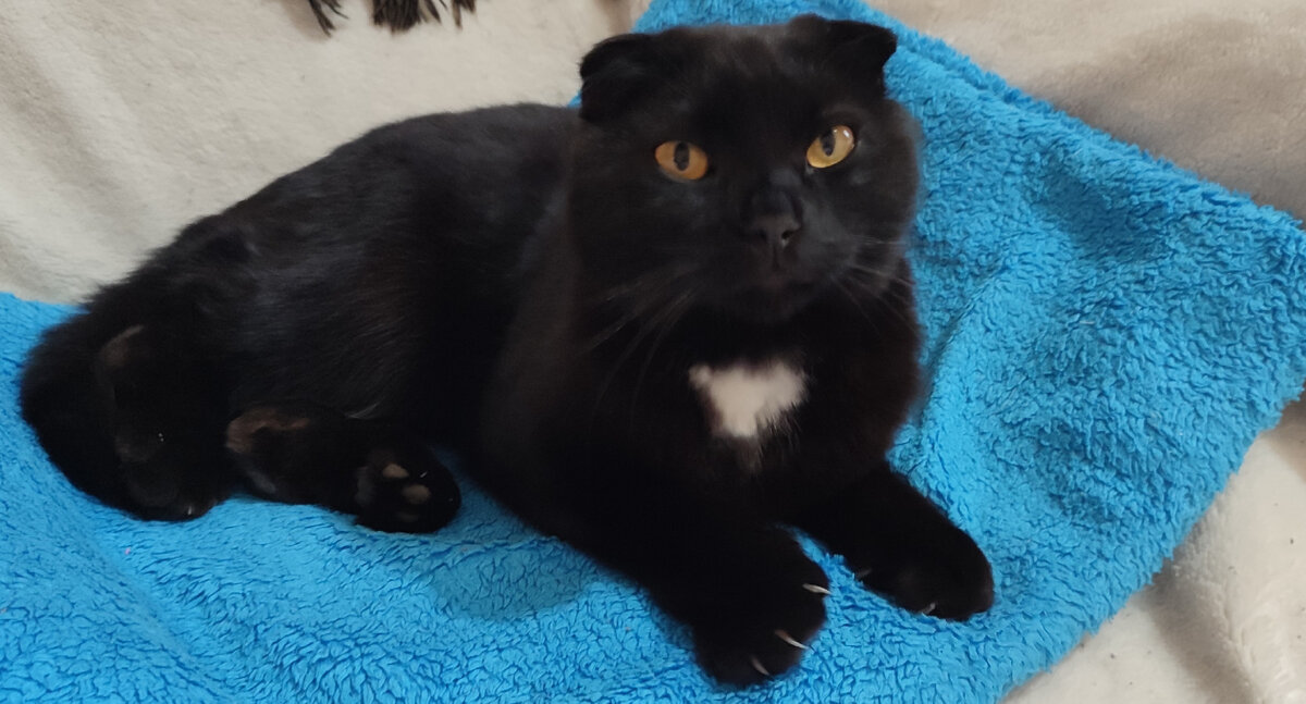 Теперь дома отсыпается