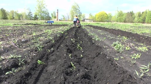 Копатель к мотоблоку и переделка окучника - обе задумки работоспособны