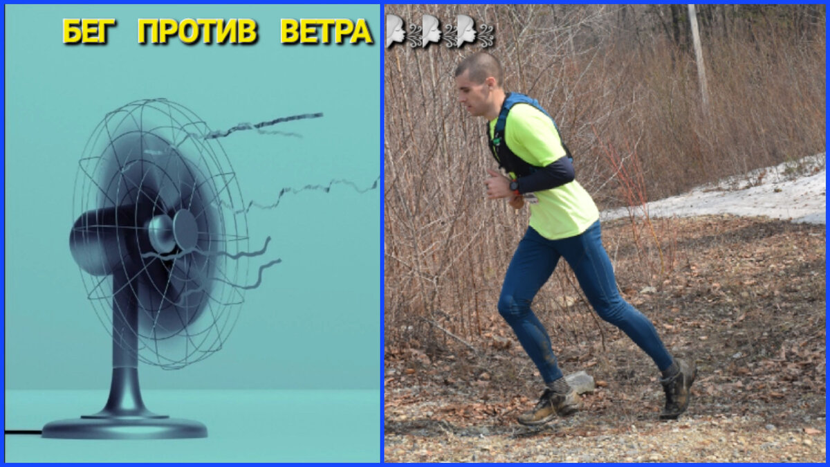 Руководство по бегу в ветреную погоду | EGOR: Activity Diary | Дзен