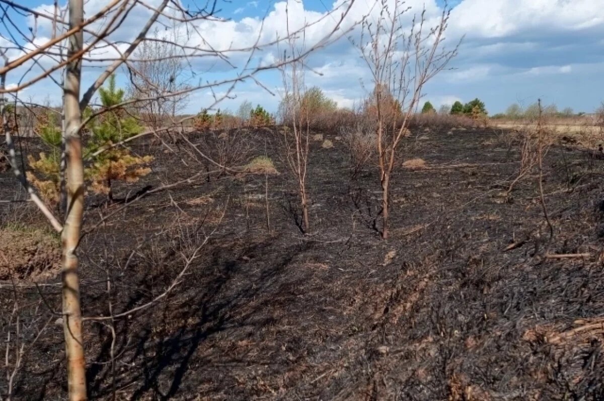    В Новосибирской области семиклассник спас поселок от огненной катастрофы