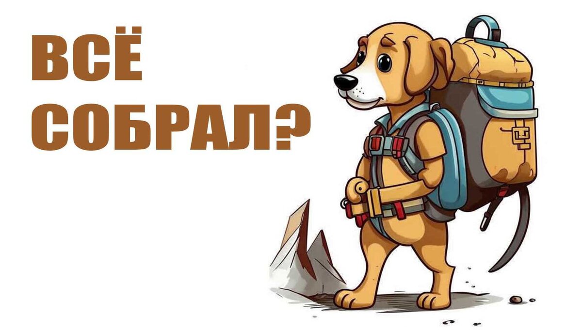 Привет, собаковод! До этого мы с тобой поговорили о том, на каком лакомстве мы работаем с собакой (а точнее – почему мы работаем без него).