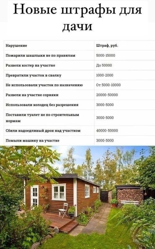 Фото из интернета 