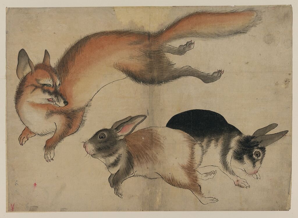 Artist:Unknown Title:[Fox and two hares] Date:[between 1800 and 1870]