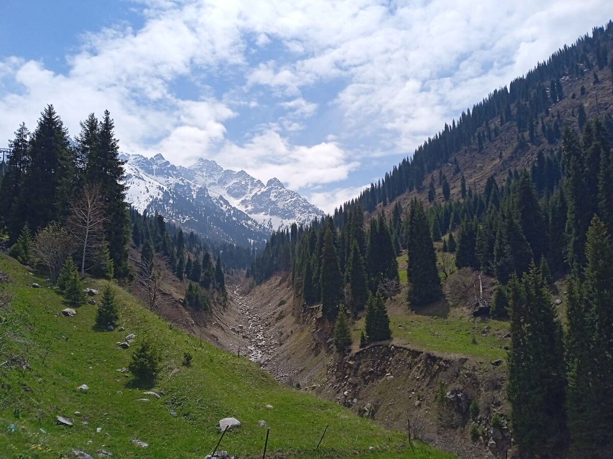 Дима (бывший муж) шлёт горы, он уже полгода путешествует.                                                             