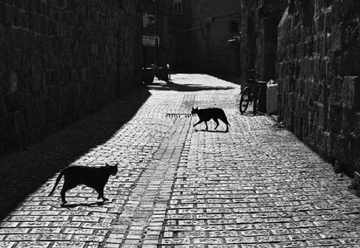 фото из сети