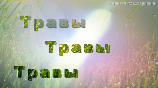 Травы, травы, травы, муз. В. Шаинский, сл. И.Юшина, хиты 70 Х