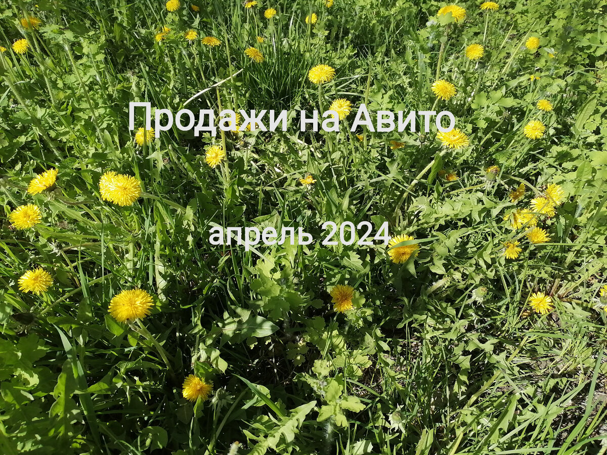 Итоги на Авито. Отчёт за апрель 2024. | Записки безработной | Дзен