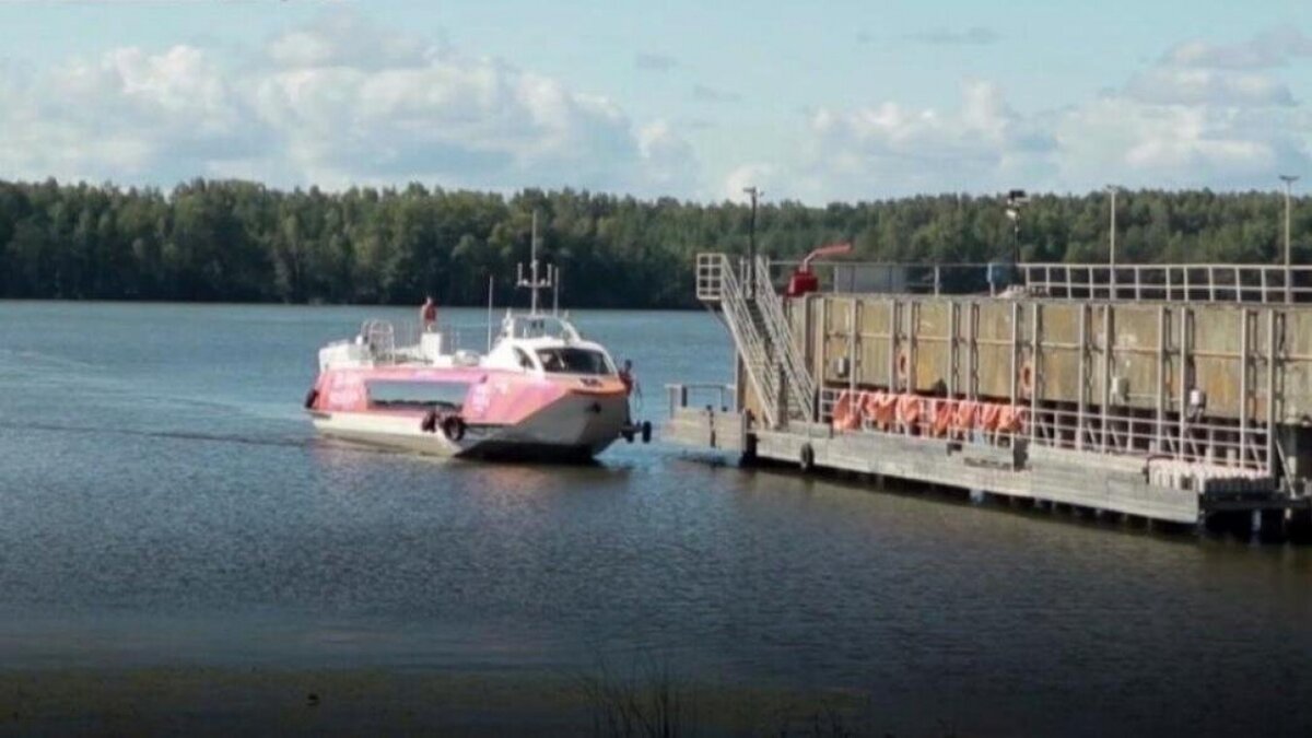    В Саратове создано предприятие для речных перевозок «Валдаями» с 2024 годаНовости Саратова и области – Сетевое издание «Репортер64»