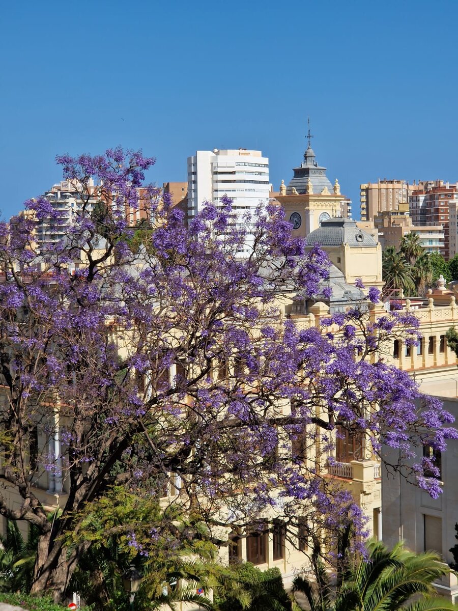 Малага. Фото автора
