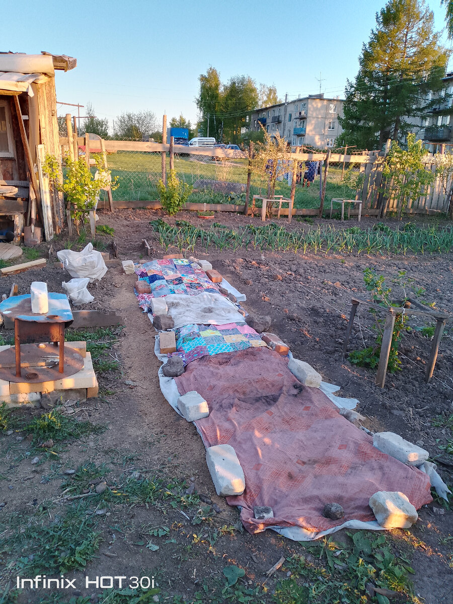 Грядка с капустой. Слева розы закрыли. 