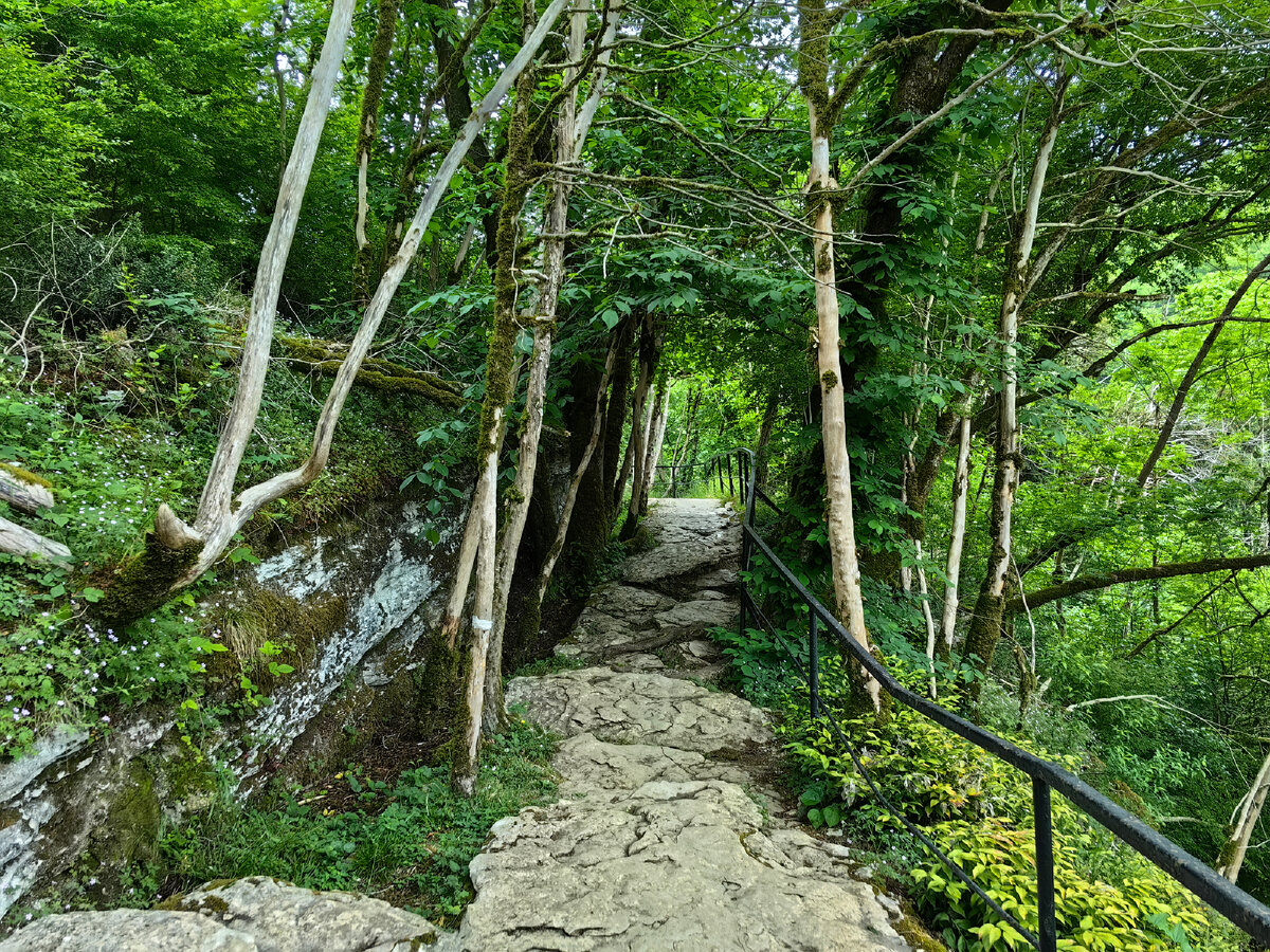 Общий вид тропы. Приблизительно середина маршрута