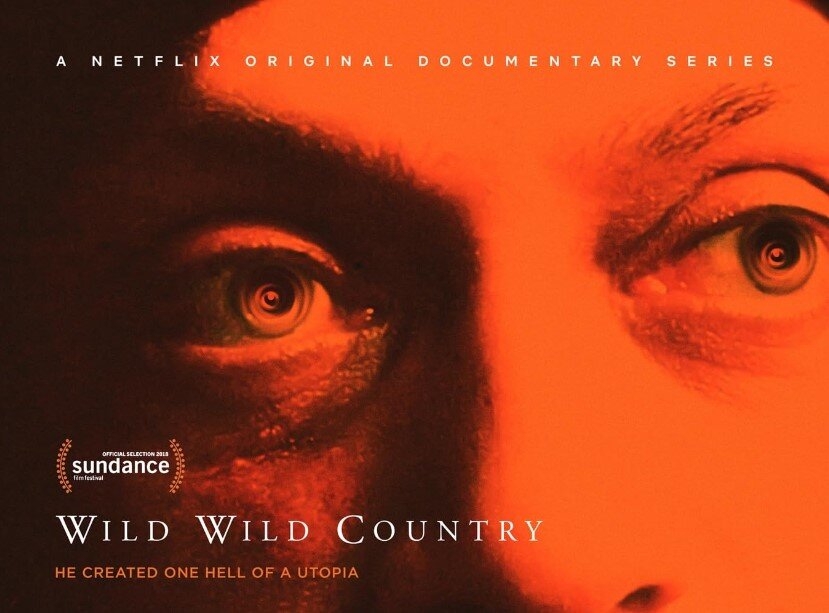 Постер Дикая-дикая страна (мини–сериал 2018)