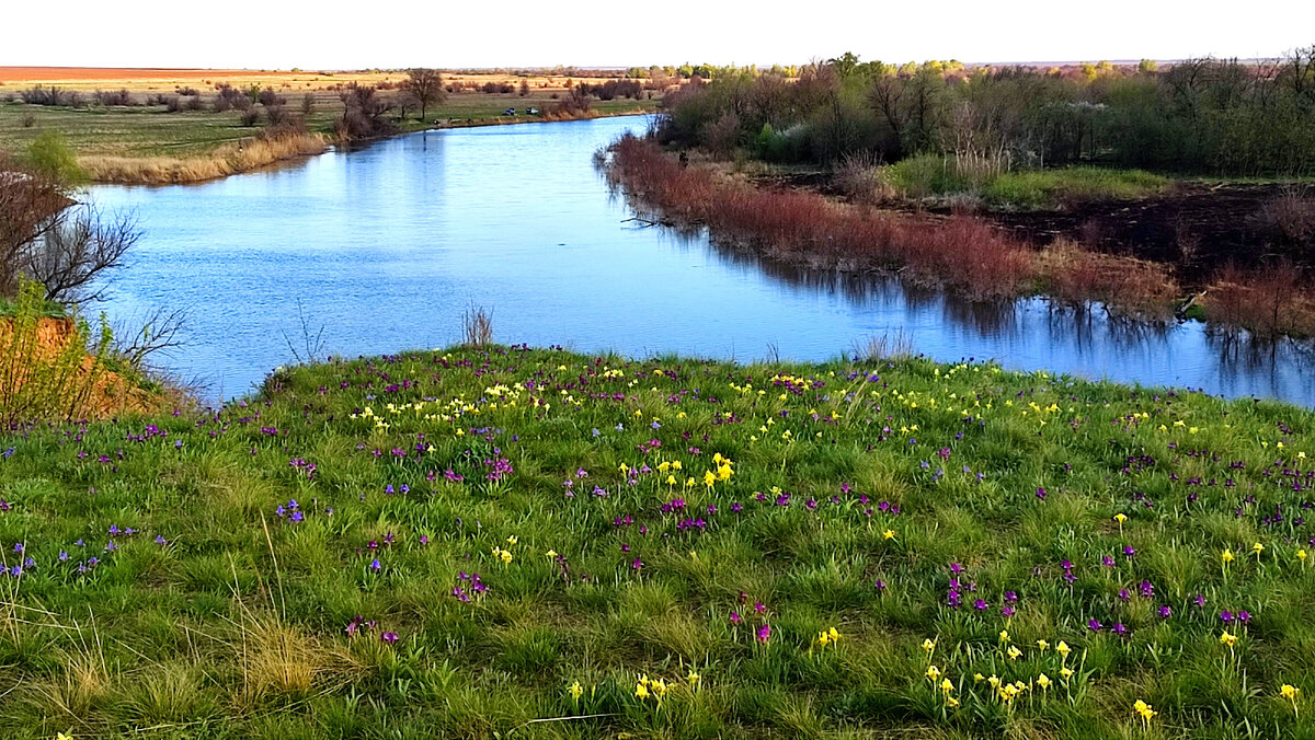 Река "Мышка".Фото взято из личного архива. 