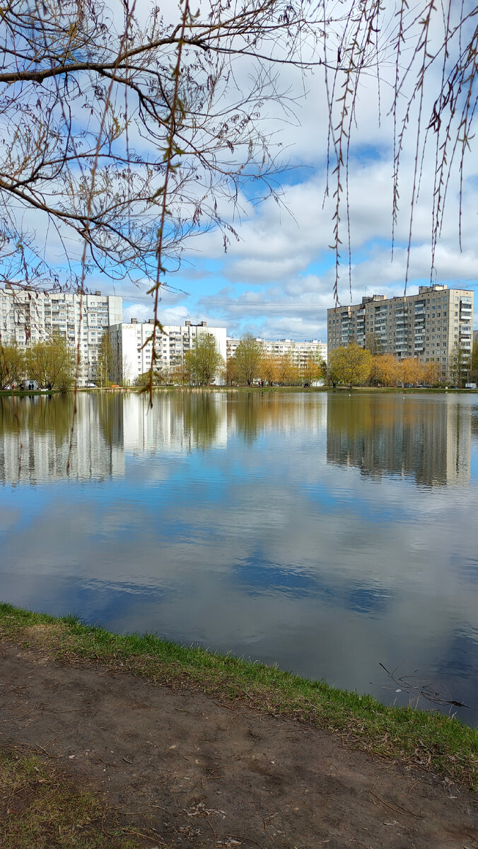 Фото автора 