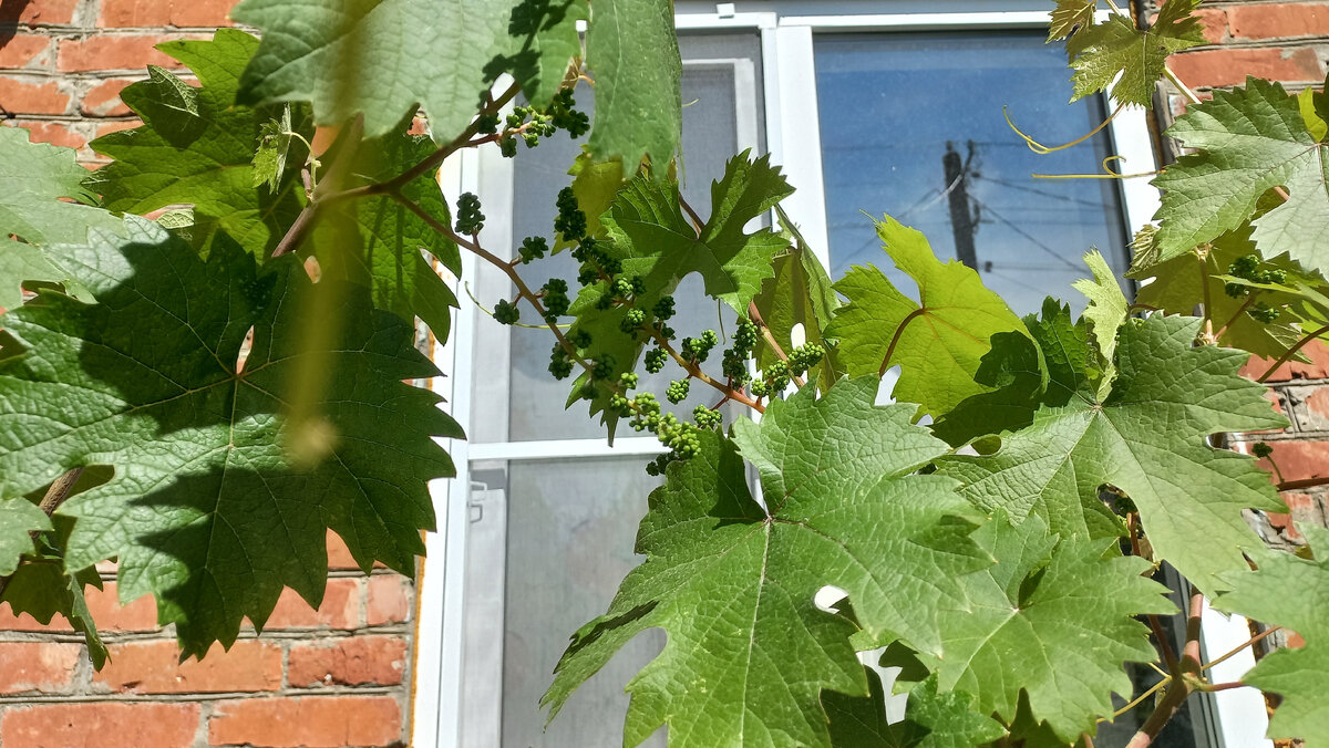 Это и другие фото в статье сделаны автором и принадлежат ему на условиях авторского права