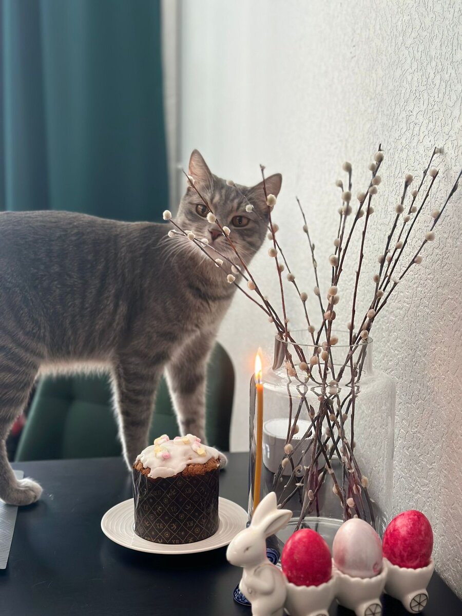 Куда же без этого друга😃