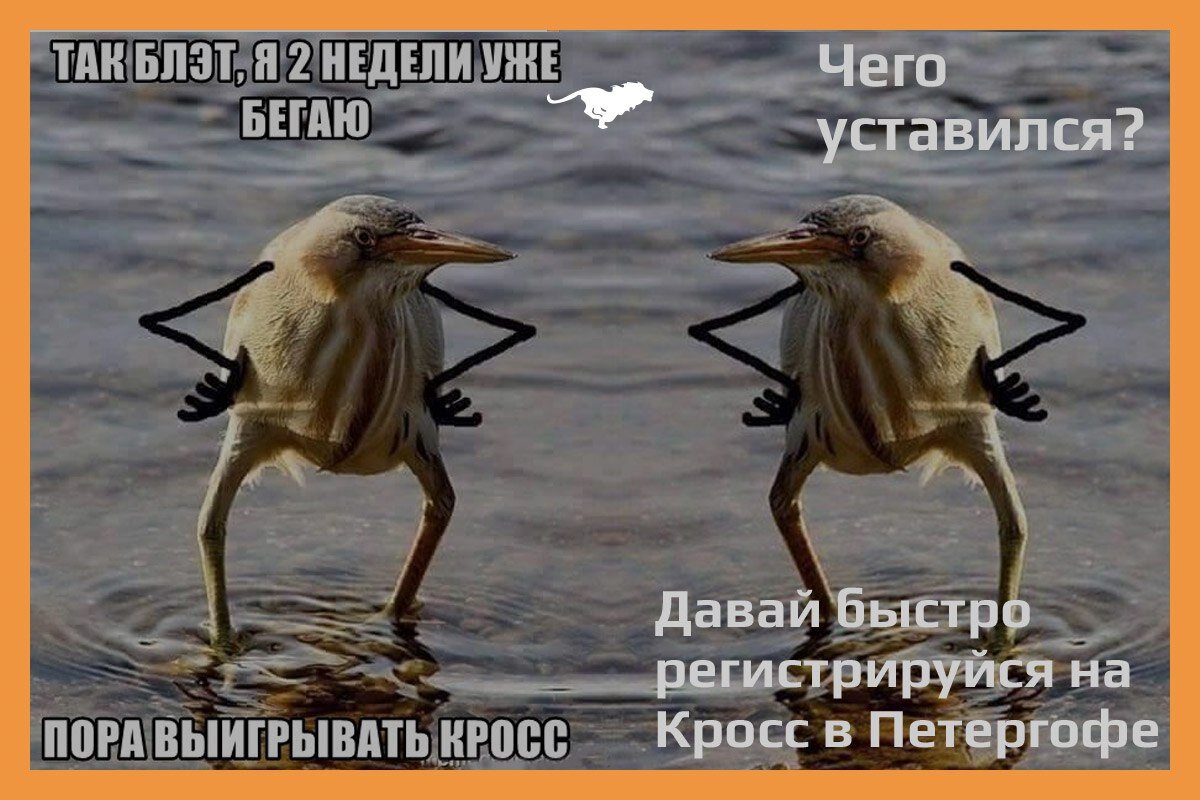 Что значит блэт