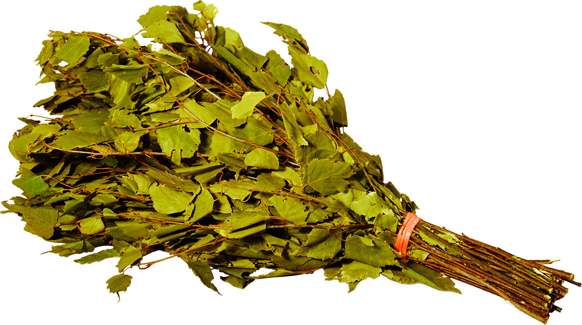 Березовый веник для бани