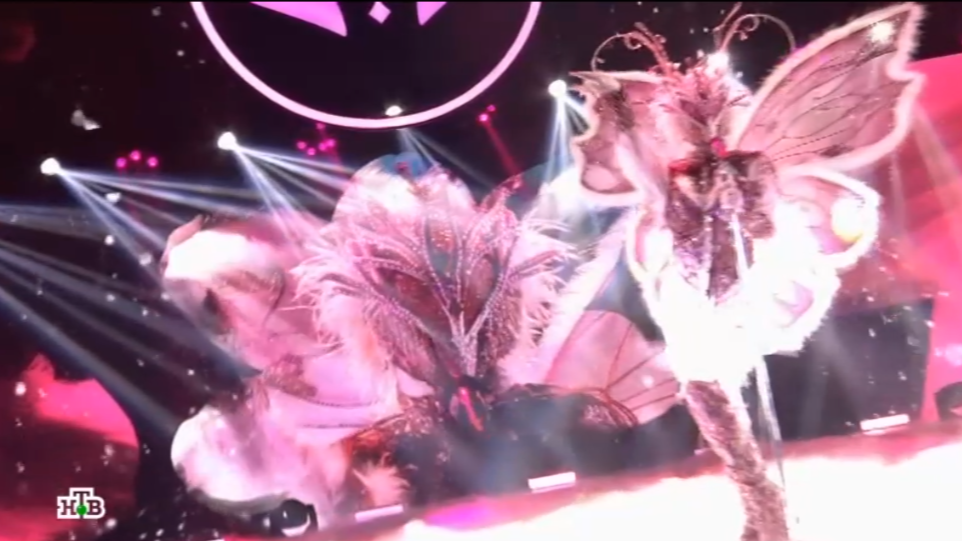 Кадр из шоу «Маска», Бабочка