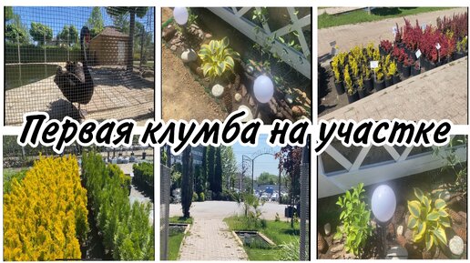 🌸Первая клумба на участке🌱Красота на 3 сотках⚡️Питомник растений