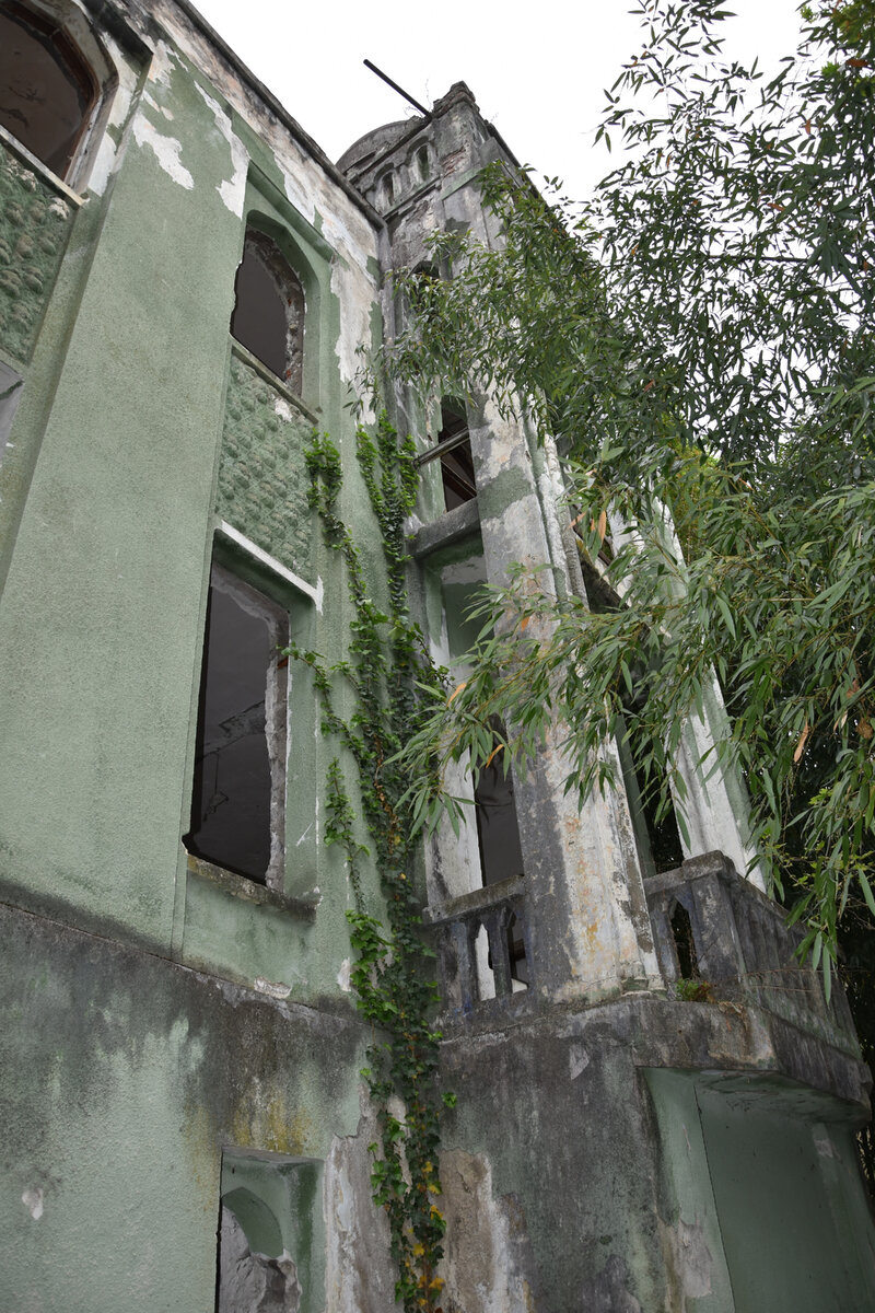 Дача Силина. 2024г. Гагры