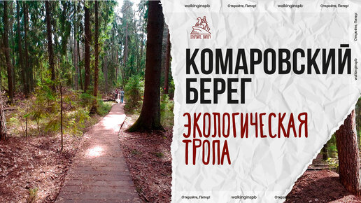 Экотропа в Комарово! Идеальное место для прогулки в окрестностях Санкт-Петербурга