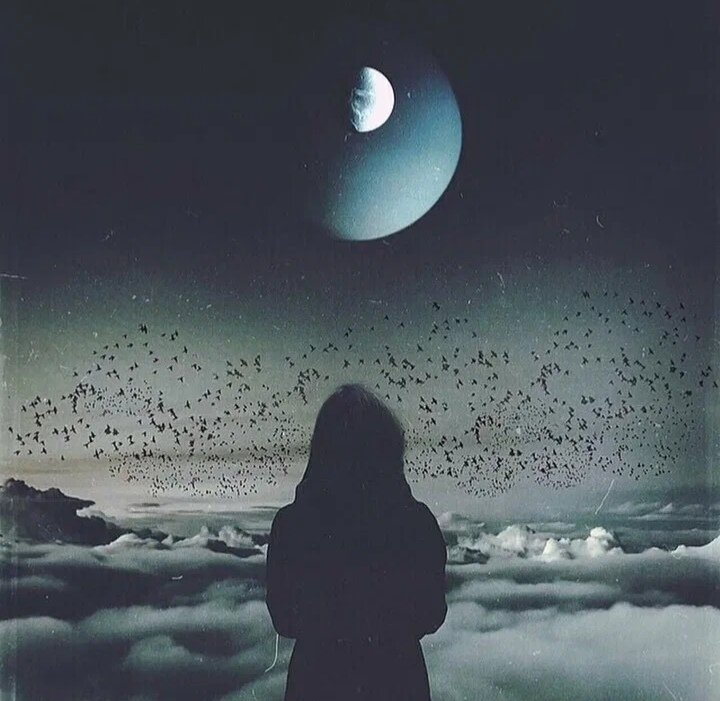 Фото с просторов интернета. 