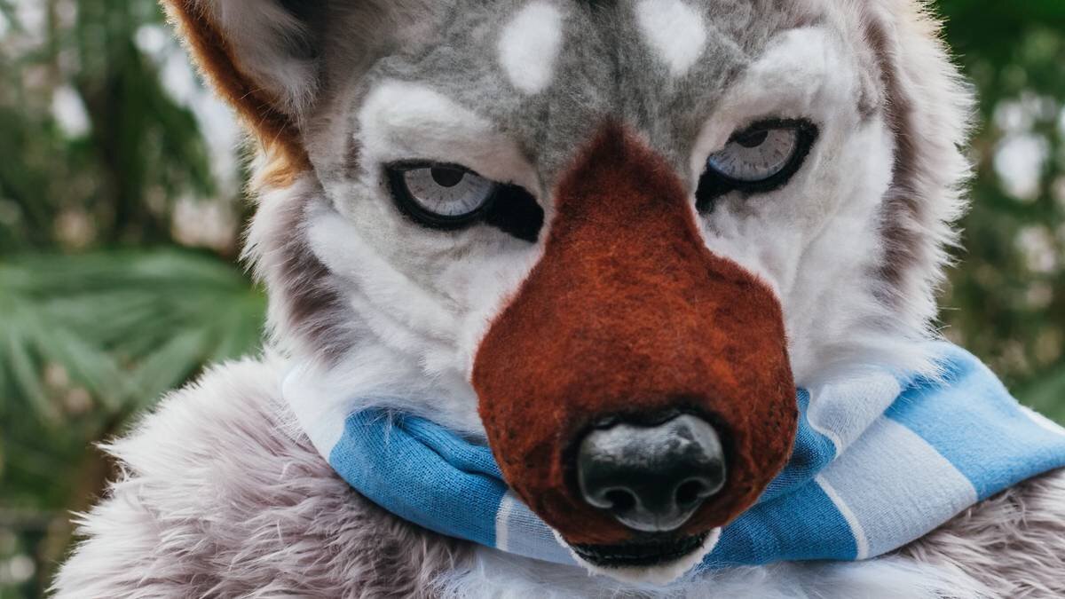    Фото: shutterstock