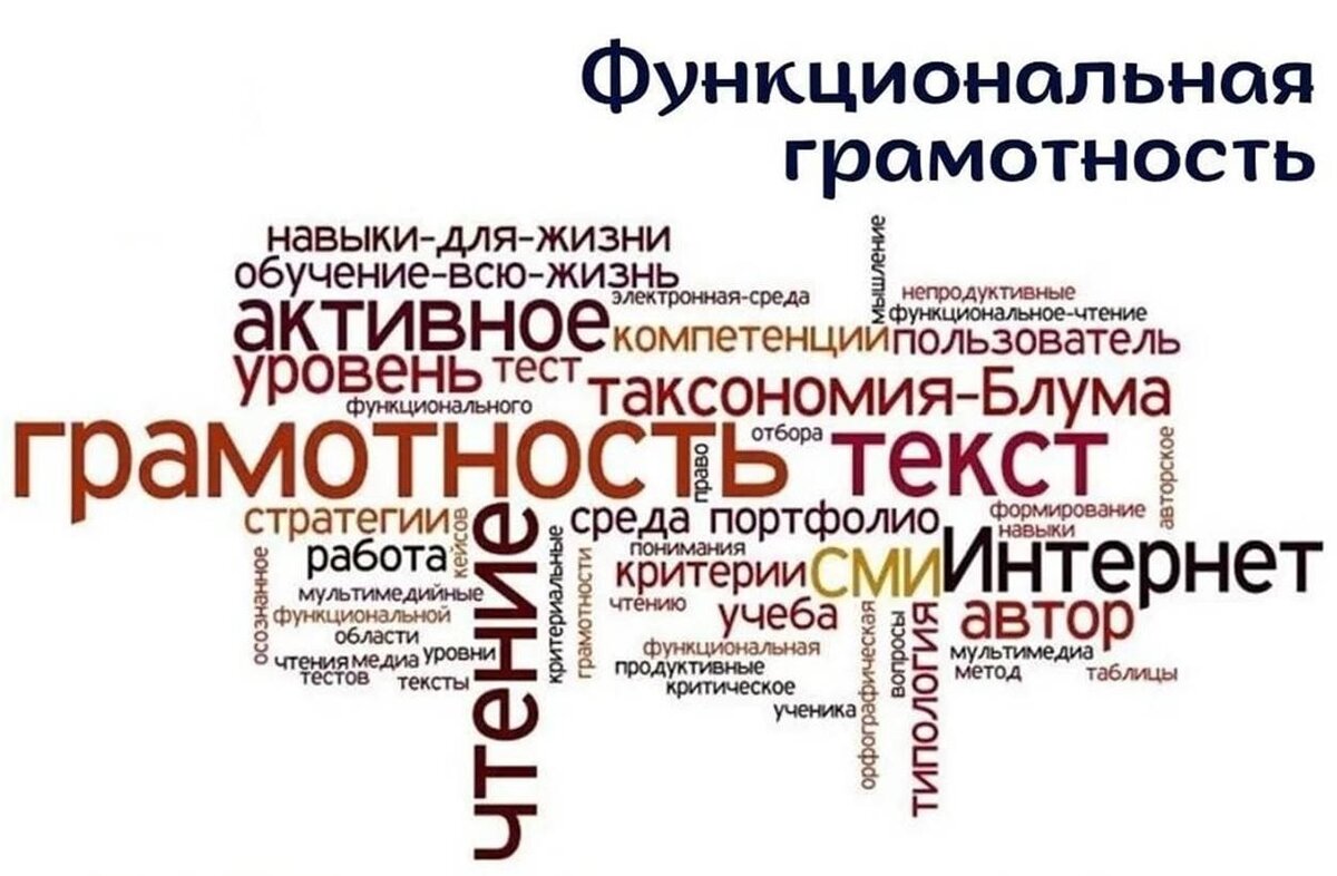 Как развить функциональную грамотность на уроках русского языка в начальной  школе у детей мигрантов ? | Учеба без границ | Дзен