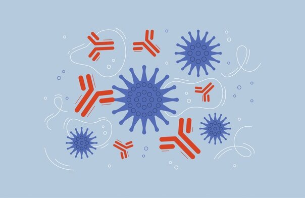 Добавьте описание