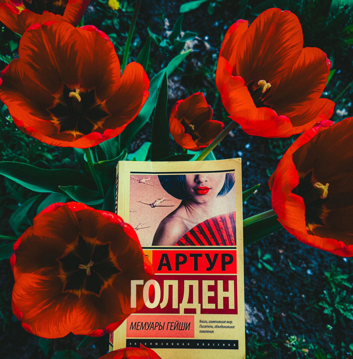 Обложка книги "Мемуары Гейши" Артура Голдена