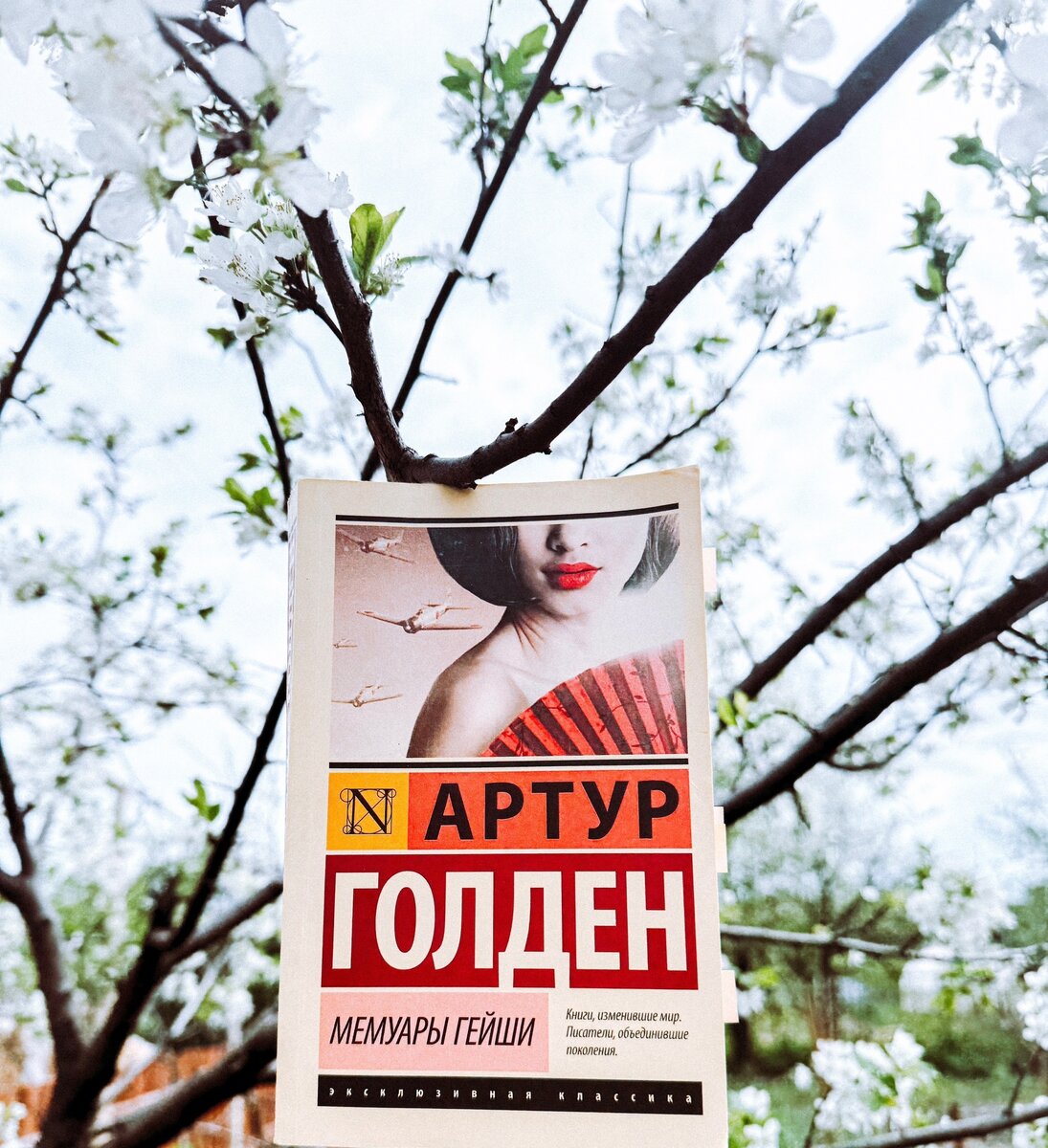 Покоренные женщины Японии | Полуночная книгомания | Дзен