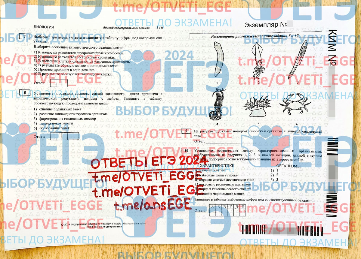 Впр 5 класс биология 4 вариант 2025. Впр 5 класс биология 4 вариант 2025